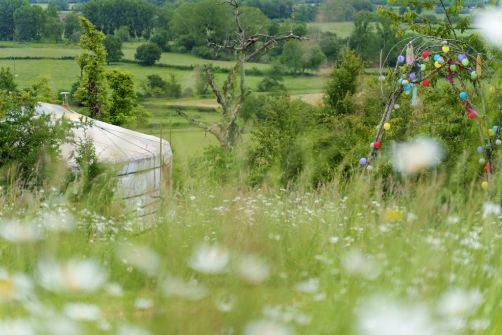 Yourte Traditionnelle - Bourgogne - Nature - Retraite Chamanique